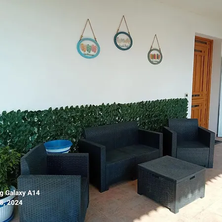 La Cycas טראביה