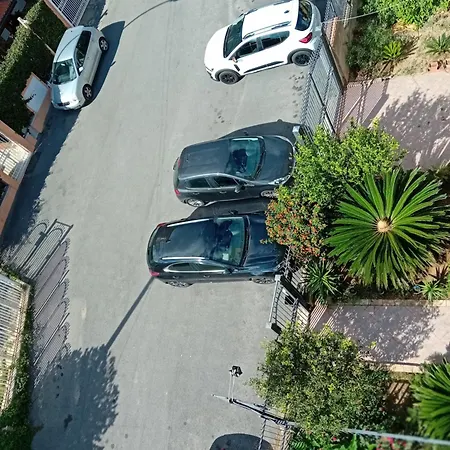 La Cycas לינה וארוחת בוקר טראביה