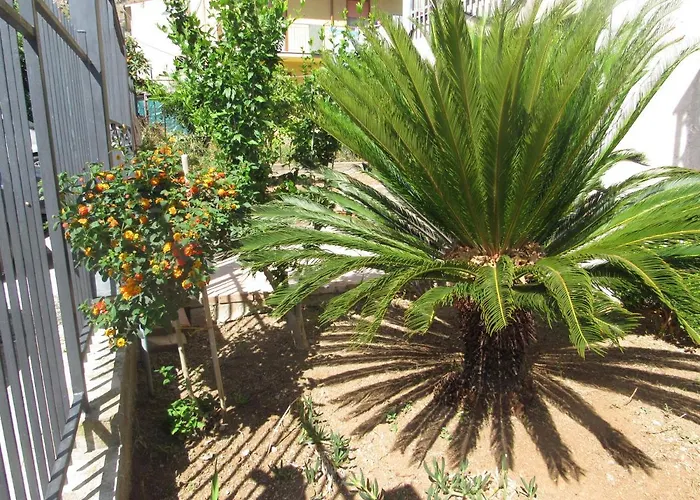 La Cycas לינה וארוחת בוקר