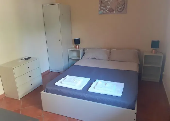 La Cycas טראביה