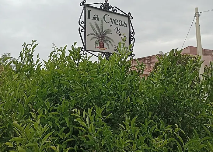 La Cycas