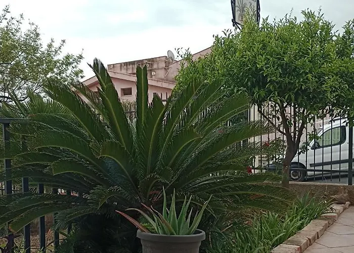 La Cycas לינה וארוחת בוקר 4*