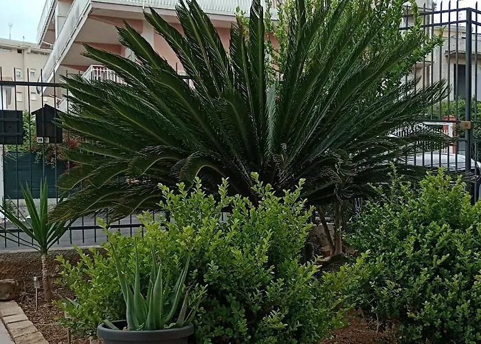 לינה וארוחת בוקר La Cycas טראביה